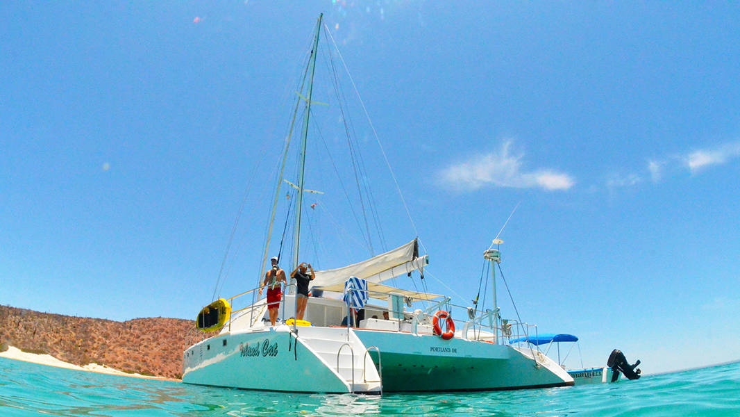 catamaran charter sea of cortez